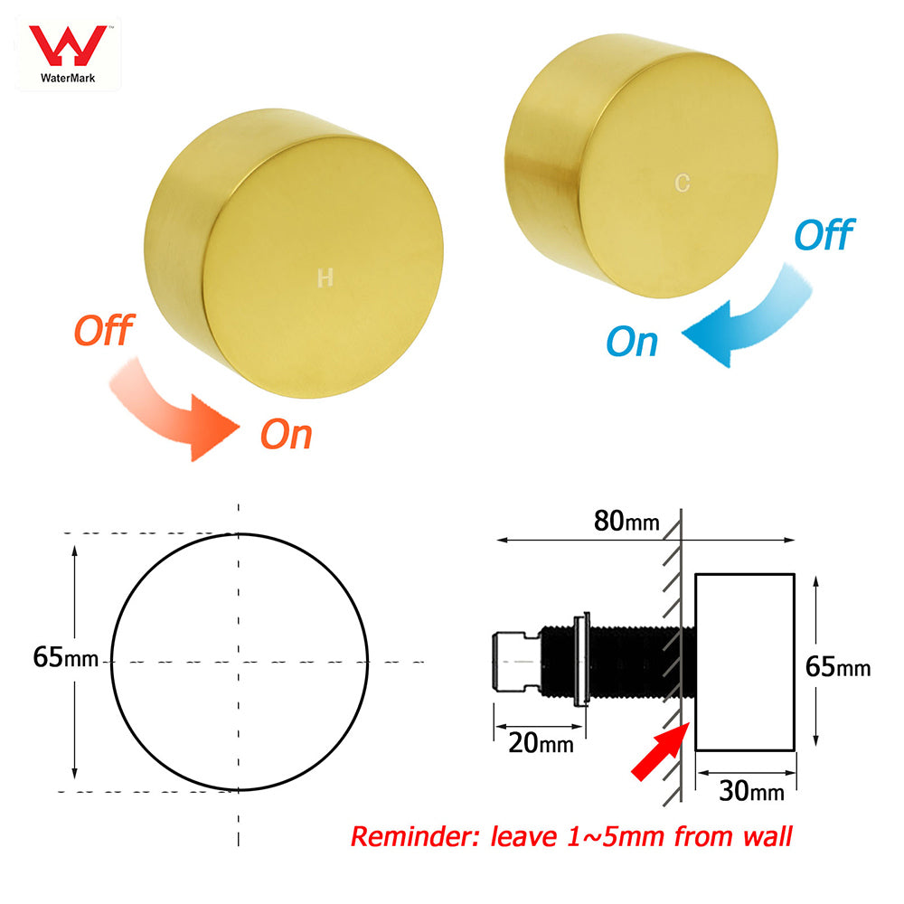 WELS Brushed Gold 2in1 Shower 8" Round Head Set Stainless Steel Handheld Rose Sliding Rail Twin Taps