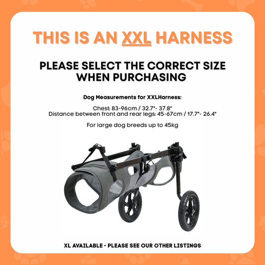 Rooster Farms Large Dog Wheelchair XXL Harness - Adjustable Back Leg Aid