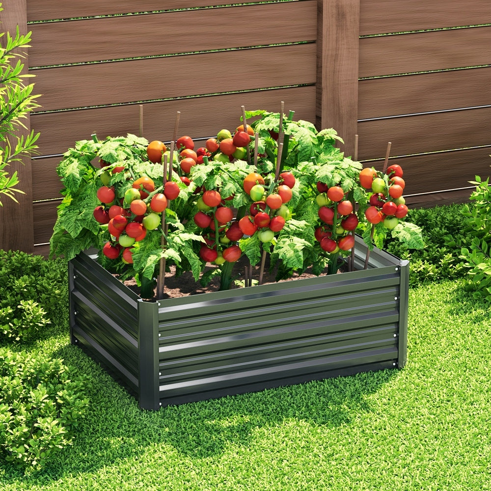 Garden Beds