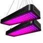 Greenfingers 2X 2000W Grow Lights LED Full Spectrum Indoor Plant All Stage Growth