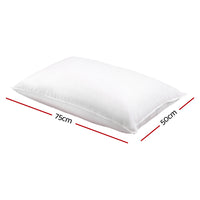 Giselle Bedding Goose Feather Down Pillow Twin Pack