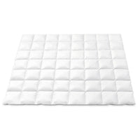 Giselle Bedding 800GSM Goose Down Feather Quilt Winter Blanket Duvet Comforter Double