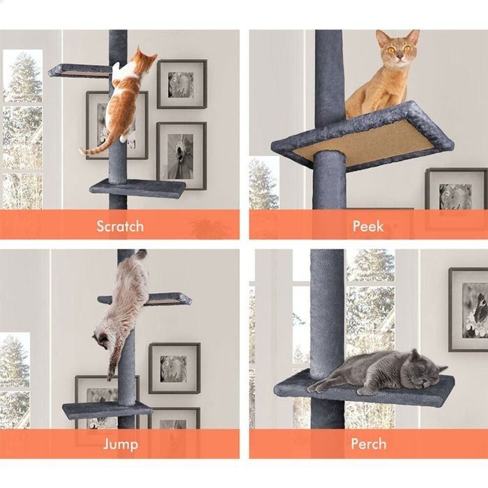 CARLA HOME Floor to Ceiling Cat Tree Tower  with Adjustable Height 230-286cm for Indoor Cats (Grey)