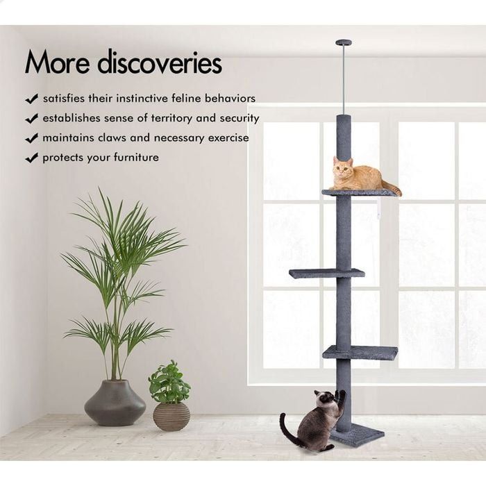 CARLA HOME Floor to Ceiling Cat Tree Tower  with Adjustable Height 230-286cm for Indoor Cats (Grey)