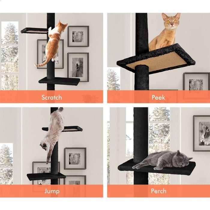 CARLA HOME Floor to Ceiling Cat Tree Tower  with Adjustable Height 230-286cm for Indoor Cats (Black)