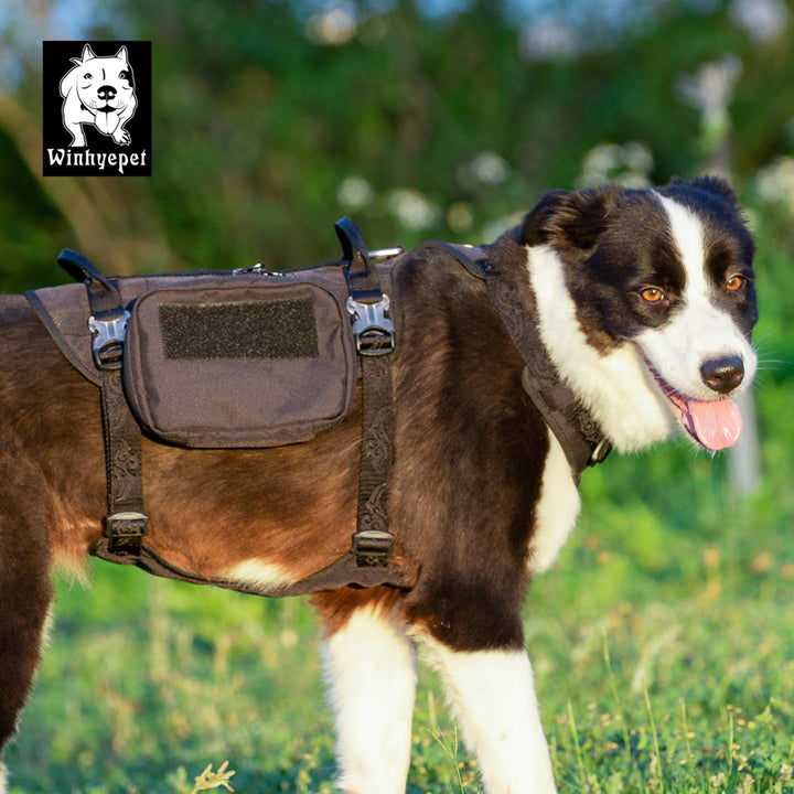 Whinhyepet Military Harness Black L