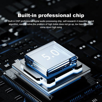 Black Karaoke Machine with 2 Wireless Microphones Bluetooth-Compatible 5.0 for Parties