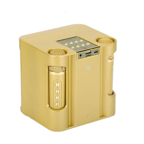Gold Karaoke Machine with 2 Wireless Microphones Bluetooth-Compatible 5.0 for Parties