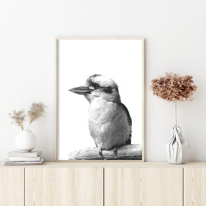 Wall Art 90cmx135cm Kookaburra Black Frame Canvas