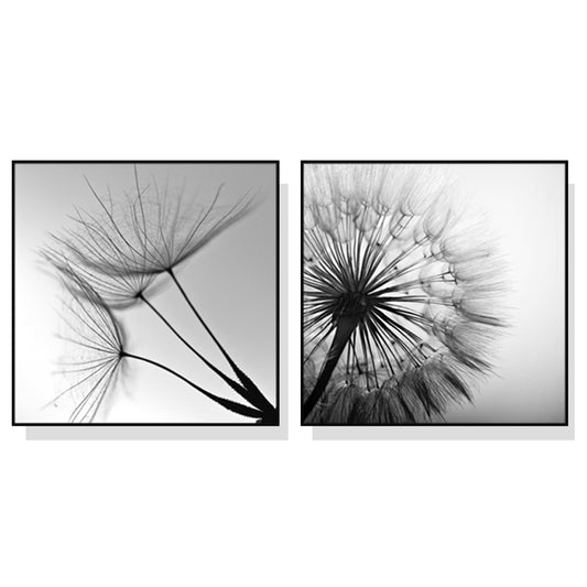 Wall Art 100cmx100cm Black and white dandelion 2 Sets Black Frame Canvas