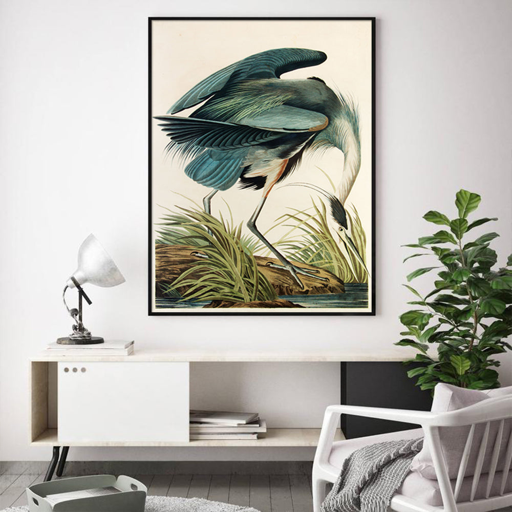 Wall Art 90cmx135cm Great Blue Heron By John James Audubon Black Frame Canvas