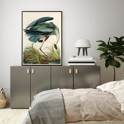 Wall Art 50cmx70cm Great Blue Heron By John James Audubon Black Frame Canvas