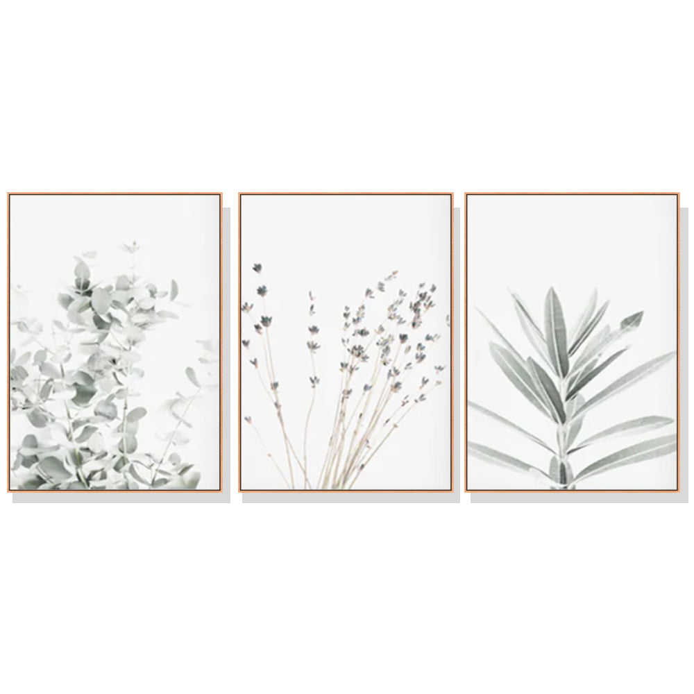 Wall Art 60cmx90cm Lavender Eucalyptus 3 Sets Wood Frame Canvas