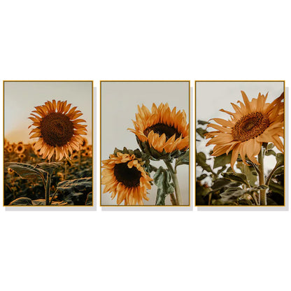 Wall Art 50cmx70cm Sunflower 3 Sets Gold Frame Canvas