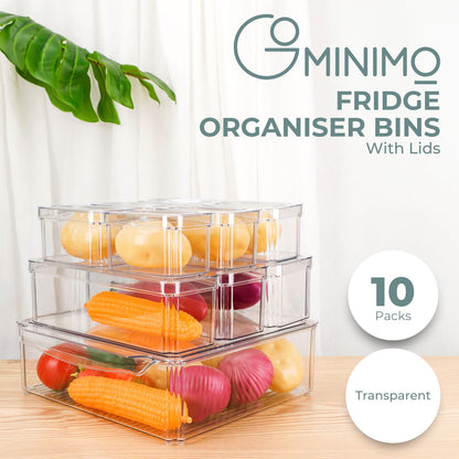 GOMINIMO 10 Pack Clear Stackable Fridge Organiser Bins with Lids (Transparent)