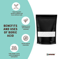 400g Boric Acid Powder High Purity Fully Soluble Granule Pest Ant Cockroaches