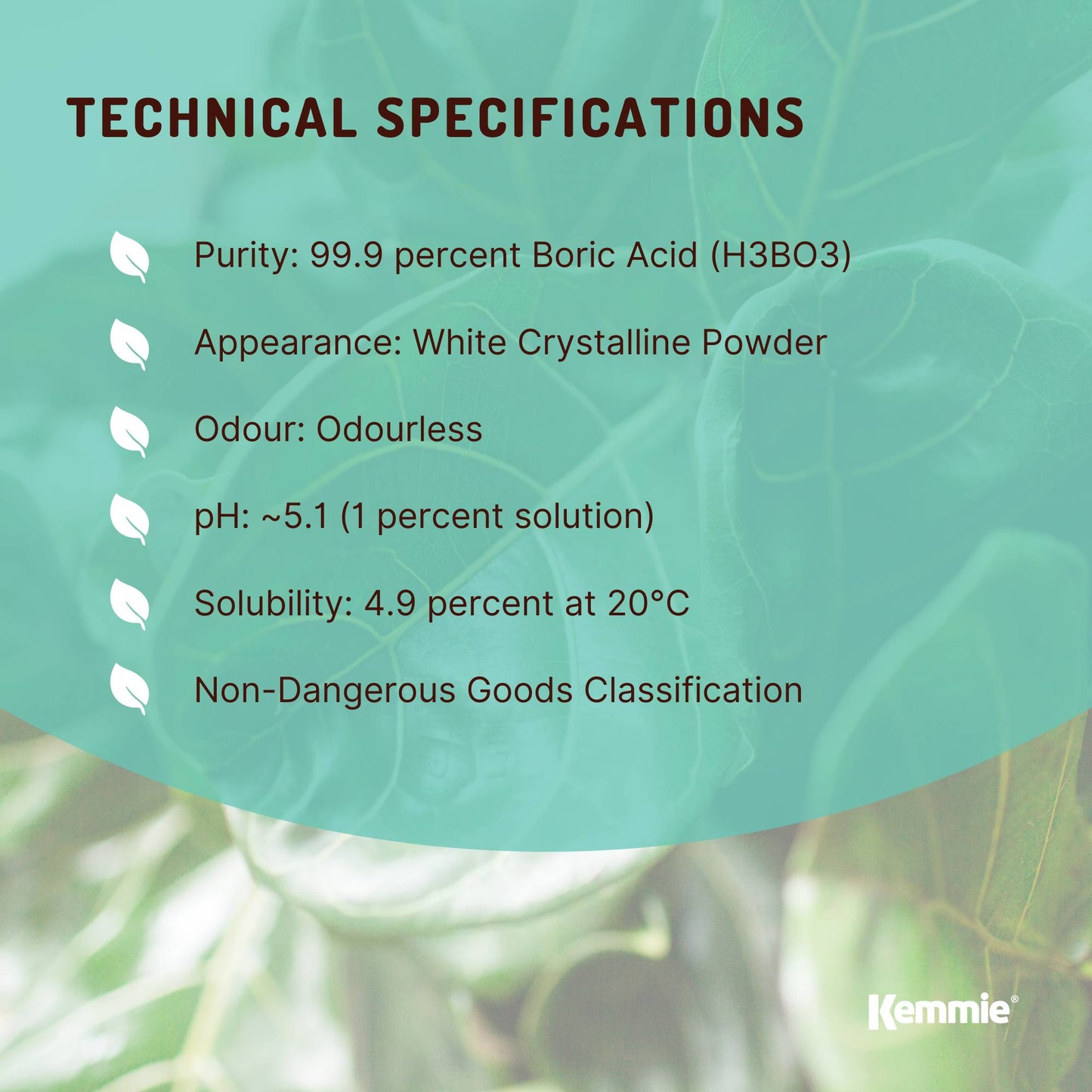 1Kg Boric Acid Powder 99.9% Pure Tub - Soluble Orthoboric Acid H3BO3