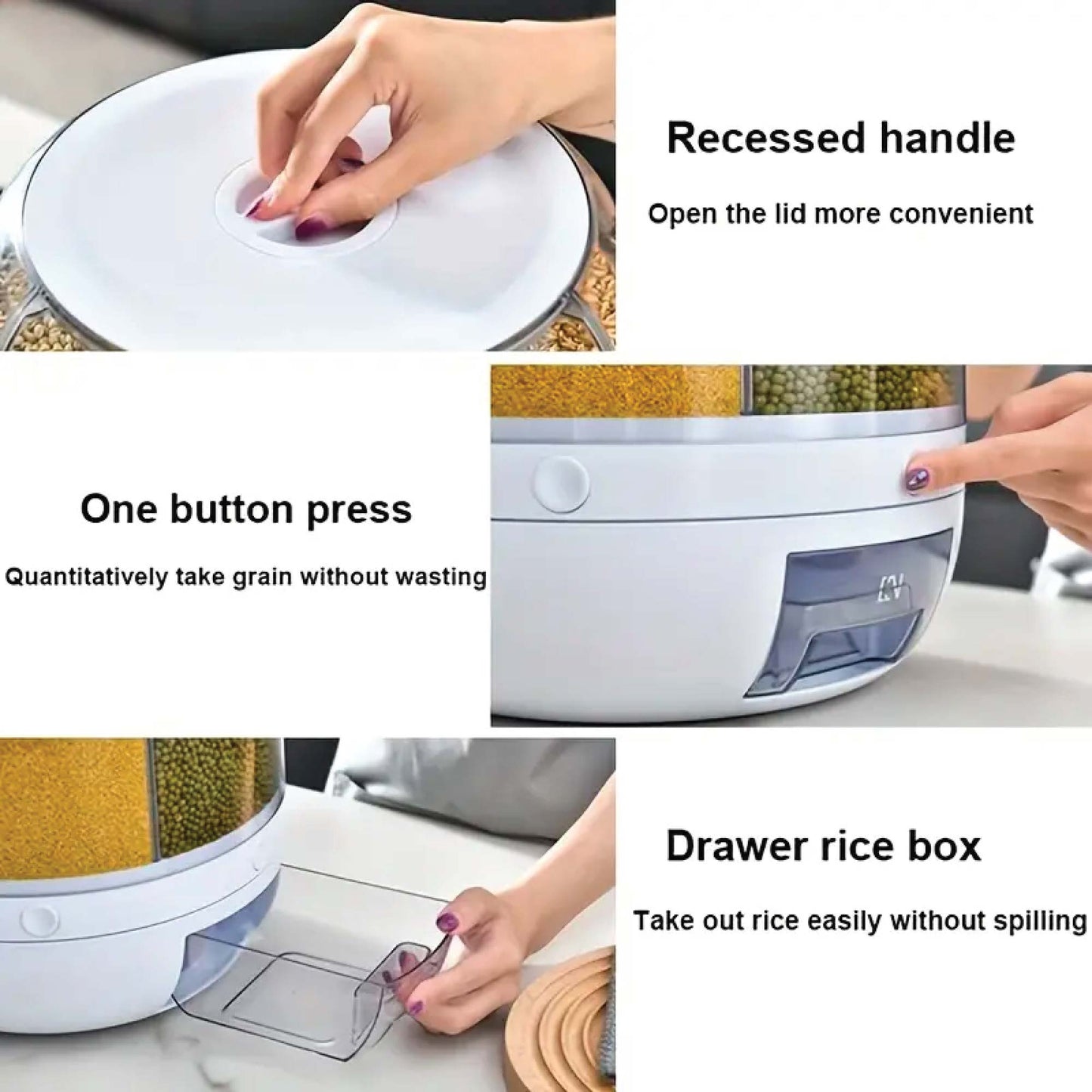 6 Grid Rotating Food Grain Dispenser 3Kg - Compartment Storage Container