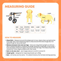 Rooster Farms Large Dog Wheelchair XXL Harness - Adjustable Back Leg Aid