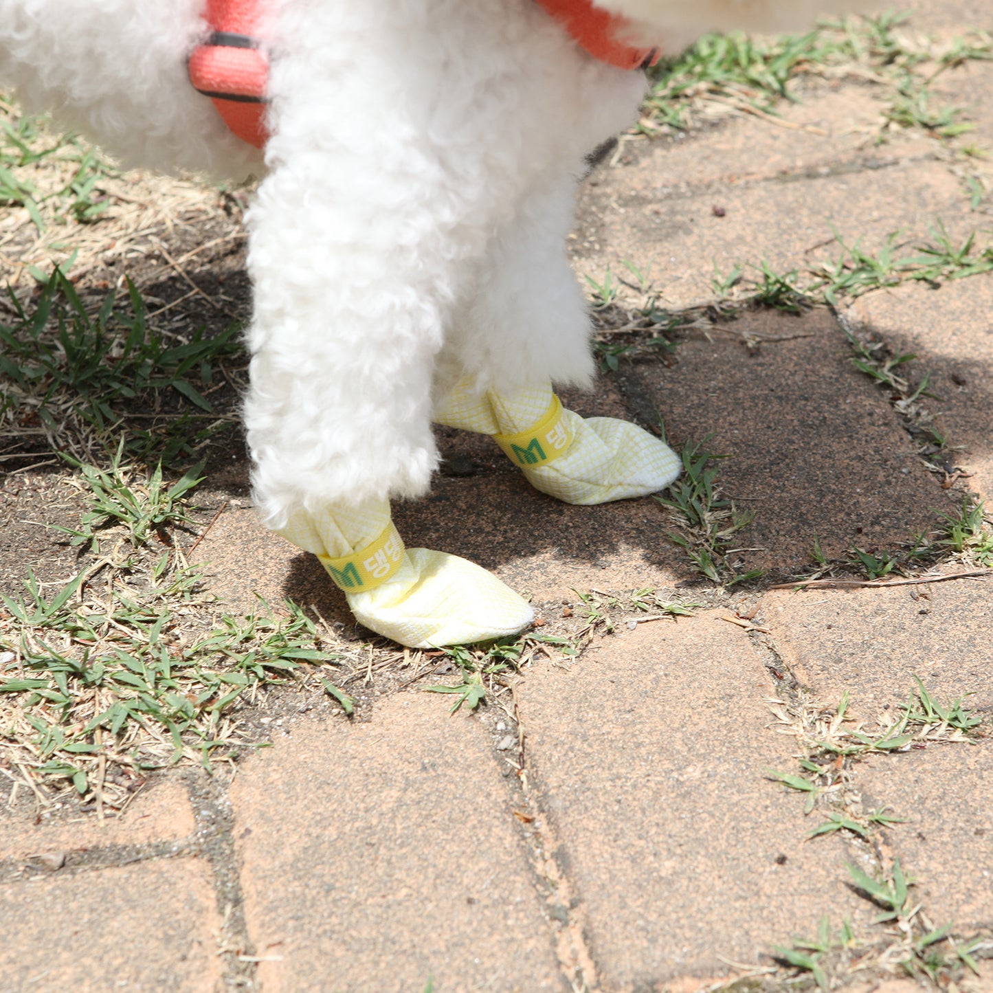 28pc X Dog Shoes Waterproof Disposable Boots Anti-Slip Pet Socks M BLUE