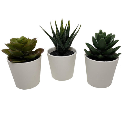 3 Pack of Artificial Succulent Potted Plants in White Plastic 6cm Pot Interior Decoration