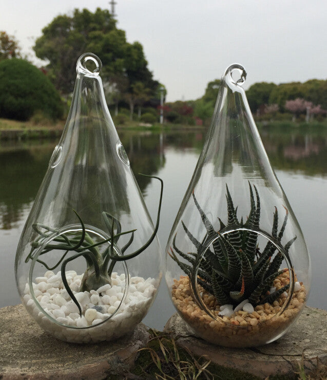 50 Wholesale Pack of Hanging Clear Glass Tealight Candle Holder Tear Drop Pear Shape - 12cm High - Terrarium Plant Mini Garden Holder Decor