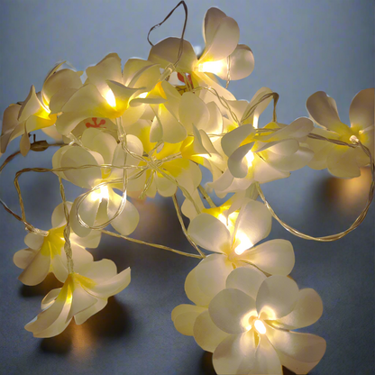 1 Set of 20 LED White Frangipani Flower Battery String Lights Christmas Gift Home Wedding Beach Party Decoration Outdoor Table Centrepiece