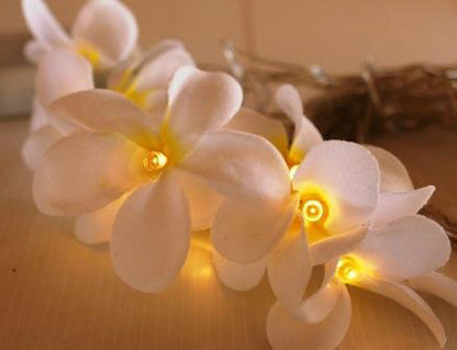 1 Set of 20 LED White Frangipani Flower Battery String Lights Christmas Gift Home Wedding Beach Party Decoration Outdoor Table Centrepiece