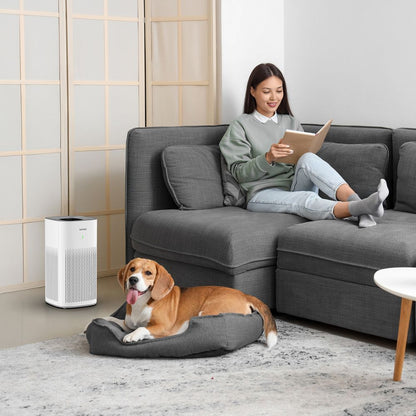 Ionmax Lavish ION350 Smart Antibacterial HEPA Air Purifier