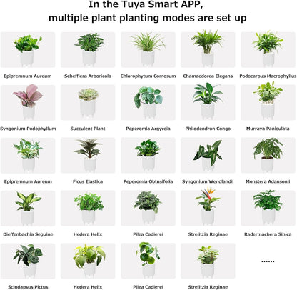 Intelligent Flower Pot, Electronic Bud, Maintenance Plant Assistant, Fun Interactive Flower Pot, Indoor Green Planting Monitoring, LCD Screen Display, Cell Phone APP Connection (Pink)