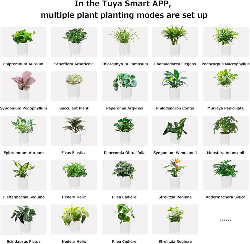 Intelligent Flower Pot, Electronic Bud, Maintenance Plant Assistant, Fun Interactive Flower Pot, Indoor Green Planting Monitoring, LCD Screen Display, Cell Phone APP Connection (Pink)