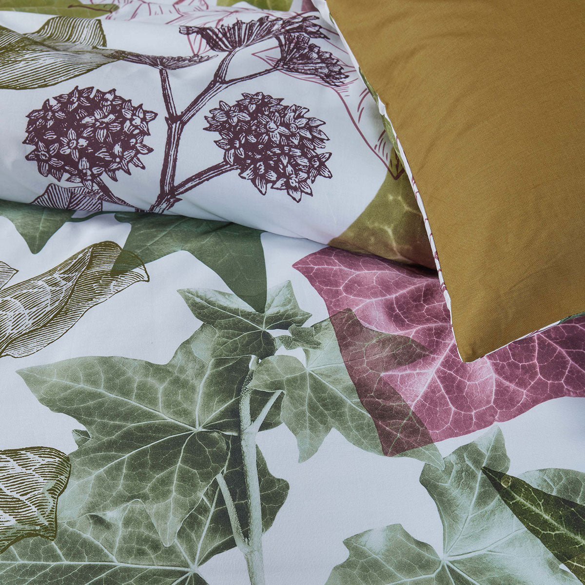 Bedding House Ivy Multi Cotton Quilt Cover Set Queen