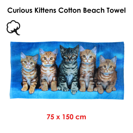 Curious Kittens Cotton Beach Towel