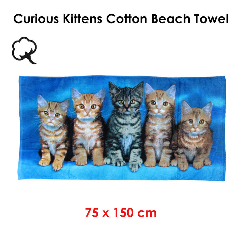 Curious Kittens Cotton Beach Towel