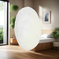 Luxor Twin Pack 65cm Aus Made Round Hotel Cushion Inserts Premium Memory Resistant Filling