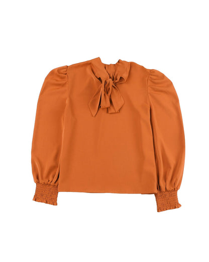 Azura Exchange Long Sleeve Mock Neck Chiffon Blouse - L