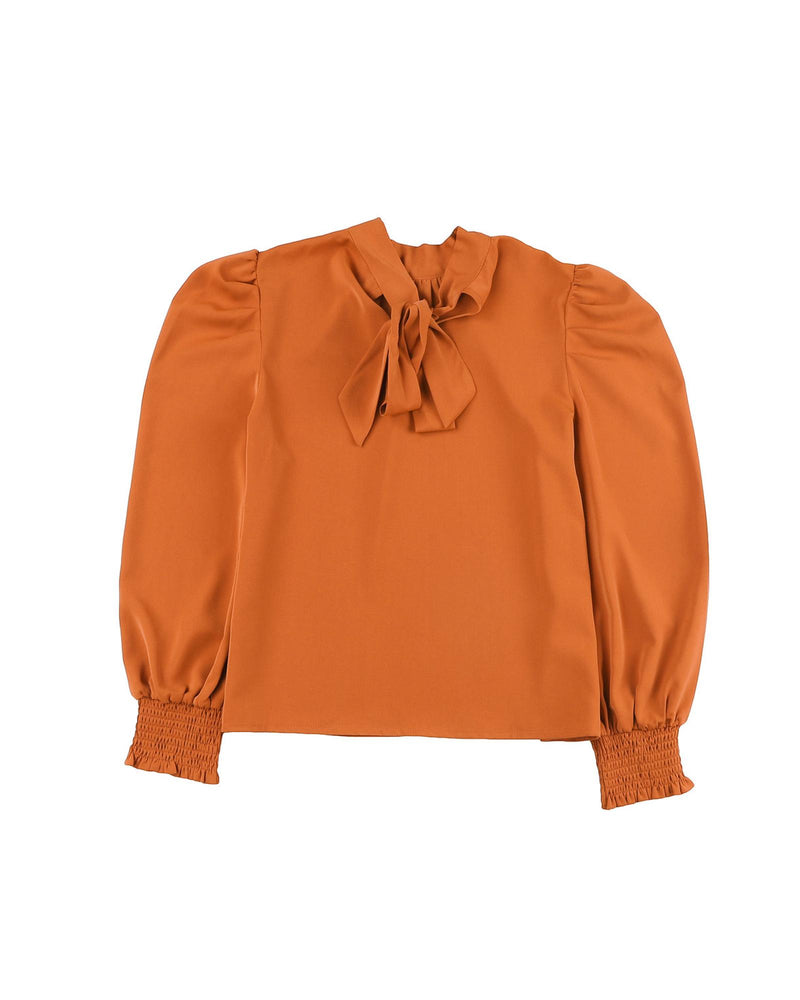 Azura Exchange Long Sleeve Mock Neck Chiffon Blouse - L