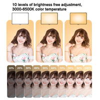 30cm Flat-panel Live Fill Light with 3-colour Temperature - Adjustable Bracket