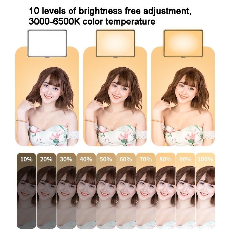 30cm Flat-panel Live Fill Light with 3-colour Temperature - Adjustable Bracket