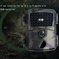 20mp 1080p Infrared Cameras with 38 Ir Lamps for Hd Monitoring