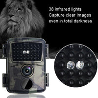 20mp 1080p Infrared Cameras with 38 Ir Lamps for Hd Monitoring