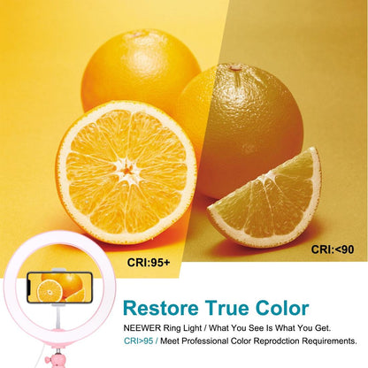 10.2 Selfie Beauty Light with Tripod Mount and Usb 3 Modes Dimmable Led Ring for Vlogging and Photography Cold Shoe Ball Head and Phone Clamp - Black