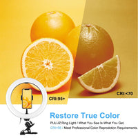 10.2 Ring Light with Monitor Clip & Usb 3 Modes Dual Colour Temperature Dimmable Curved Diffuse Vlogging Selfie Beauty Photography Video Lights Phone Clamp - Black