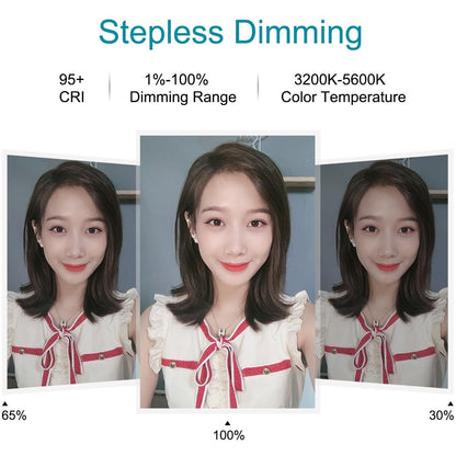 26cm Usb 3 Modes Dimmable Led Ring Light with Phone Clamp - Black