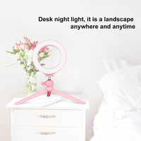 6.2 Led Ring Light with Usb 3 Modes Dimmable Cold Shoe Tripod Mount - Pink