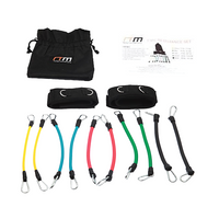 set bandes de résistance fitness 13pcs