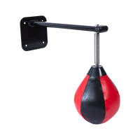 Wall Hanging Boxing Punching Bag Speed Training Stress Relief Kit with Wall Mount Bracket