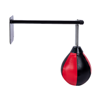 Wall Hanging Boxing Punching Bag Speed Training Stress Relief Kit with Wall Mount Bracket