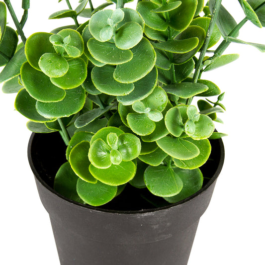 Potted Artificial Eucalyptus Plant 27cm