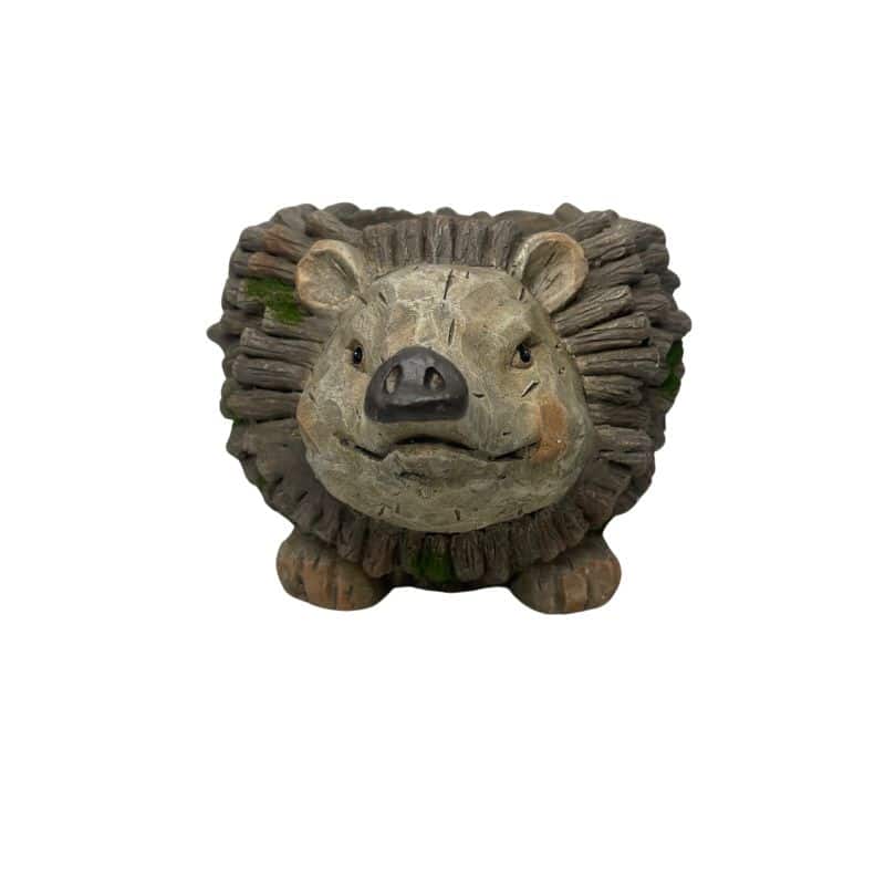 Forest Echidna Planter W  Hole & Plug 39x19cm
